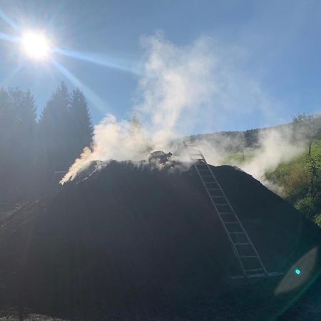 Ferienwohnung Waldkoehlerei Michelbach Exteriör bild