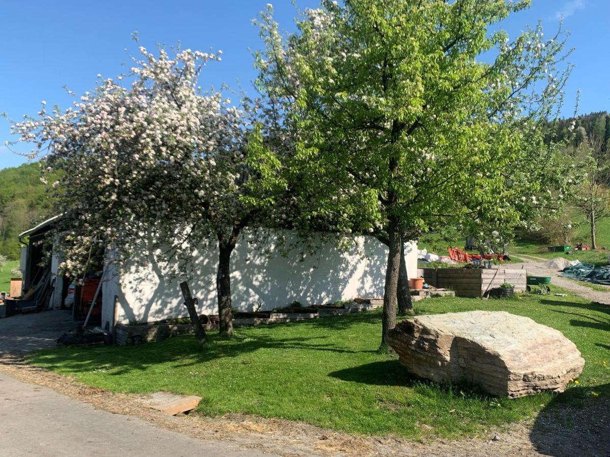 Ferienwohnung Waldkoehlerei Michelbach Exteriör bild
